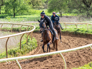 EL160424-69 - Emma Lavelle stable visit
